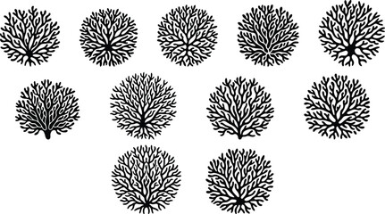 Coral Reef Silhouette logo set vector illustration