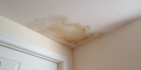 Fototapeta na wymiar Water stain spreads across an indoor ceiling near a door. Damage, home maintenance, problem