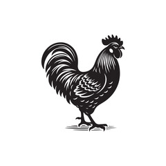 Chicken Vector (4).eps