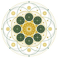 citrus fruit background