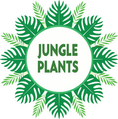 Tropical Jungle Plants Circle Frame with Monstera and Palm Leaves Perfect for Summer Designs Invitations Posters and Creative Projects with a Natural and Fresh Vibe