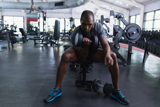 Fototapeta Man sitting on bench curling dumbbell inside gym with bench press station and rows of dumbbells