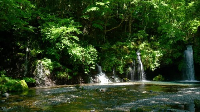 静岡県富士宮市の名所「陣馬の滝」のリアルタイム映像（ズームアウト）