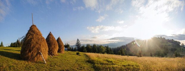 Serene landscape featuring traditional haystacks standing tall on grassy meadow. Scene bathed in warm light of setting sun, with backdrop of rolling hills and distant forest under clear, blue sky.