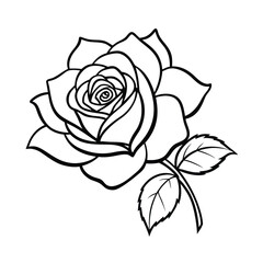 Beautiful pink rose flower vector illustration, a seamless floral pattern design with delicate petals and leaves on a white background