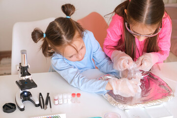 Homeschooling. The concept of science and education. Little girls are experimenting with test tubes and liquids.