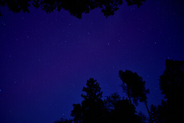 Naklejka premium nacht, himmel, gestirn, blau, all, licht, abstrakt, mond, dark, wasser, weihnachten, galaxie, hintergrund, natur, partikel, baum, landschaft, abbildung, unter wasser, hell, astronomie, glow, cosmos, b