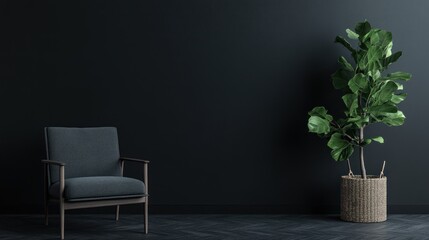 Dark room interior with a chair and plant.