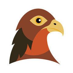 Fototapeta premium bird of paradise