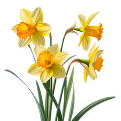 Fototapeta premium Bright Bouquet of Yellow Flowers with Fresh Green Leaves, Perfect for Celebrations, Home Décor, and Floral Arrangements, Isolated on Transparent Background