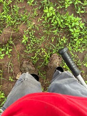 gardening tools in a garden