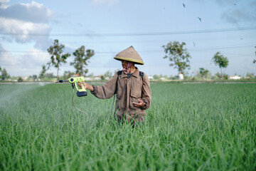 A senior male farmer spraying pesticide on rice green field. Protect rice field from plant pests. Elder working at nature.