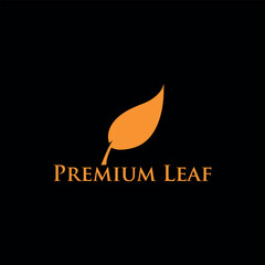 leaf logo design vector	