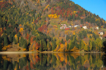 Vibrant autumn forest mirrored in a calm alpine lake in the Dolomites, Italy.