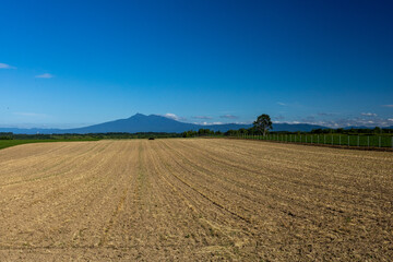 Harvested fields and Mt. Shari
