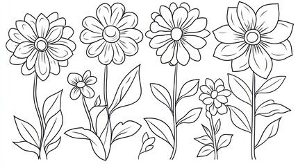Botanical Illustration of Flowers and Leaves