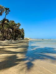 Tropical beach with lagoon, white sand beach and palm trees in Costa Calma, Fuerteventura, sunny beach day in paradise, vacations