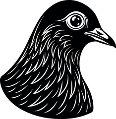 Fototapeta premium Pigeon Face in Soft Grey Metallic Chrome on White Background Shallotte