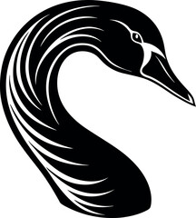 Obraz premium Swan Head in Soft Elegant Chrome on White Background Shallotte