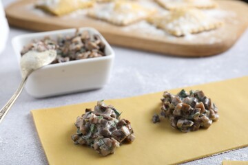 Making ravioli with mushrooms at light table, closeup