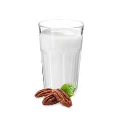Nut milk in glass and pecans isolated on white