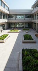 Modern architecture courtyard design with greenery and light stone paving for urban landscape design