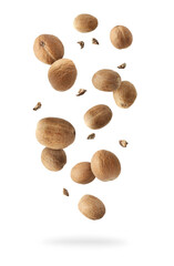 Aromatic nutmeg seeds and pieces falling on white background