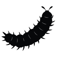 caterpillar on white background