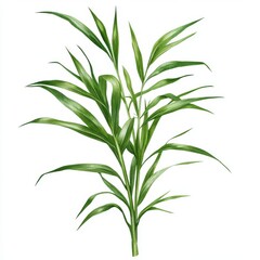 Obraz premium Fresh Green Leafy Plant Isolated on White Background for Design