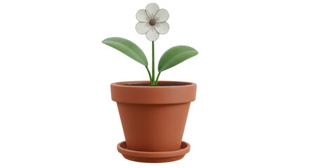 Isolated Flower Pot