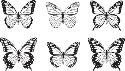 Detailed vector illustrations featuring six different black and white butterfly wing designs
