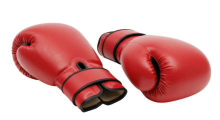 Isolated Boxing Gloves