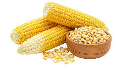 Isolated Corn on the Cob