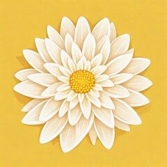 chrysanthemum flower