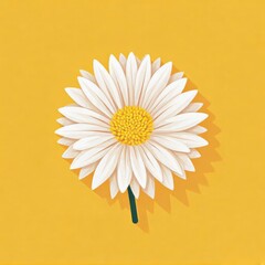 daisy on a yellow background