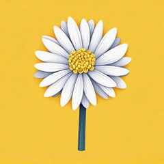chrysanthemum flower