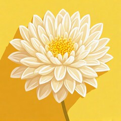 chrysanthemum flower