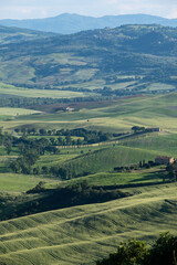 View of the Tuscan hills near Siena in, Tuscany, Italy. 