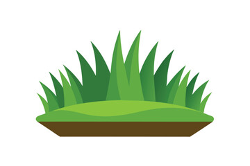 green grass on a white