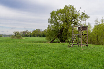 Fototapeta premium Wooden Hunting Stand in Open Meadow