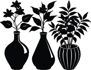 Plants In Silhouette Vases | Decorative Houseplants In Vases