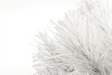 Close-up of icy pine needles glistens in the light, showcasing delicate winter beauty against a bright white backdrop.