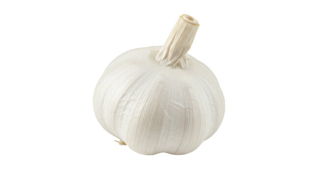 Isolated Garlic Bulb