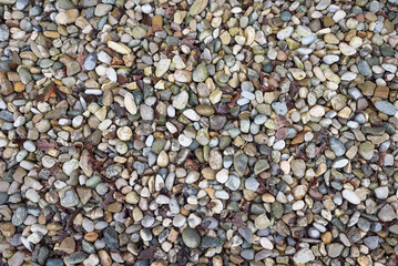 wet smooth colorful river pebbles, natural background