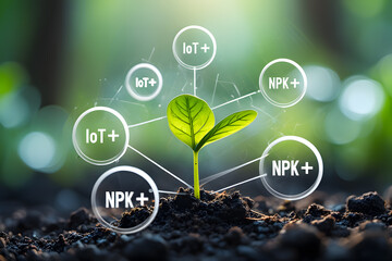 Smart agriculture iot technology growing plants npk fertilizer