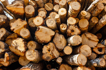 A warehouse of low-quality lumber at a logging site, view from the end