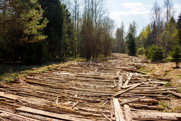 Wooden causeway on a forest road for the passage of logging equipment