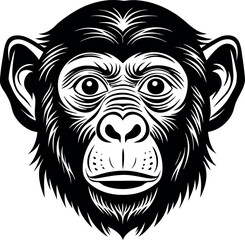Monkey Face Looking Up in Pastel Chrome Shallotte on white background