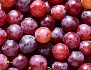Grapes still life photograph
