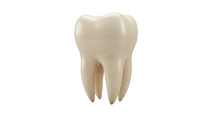 Isolated Tooth